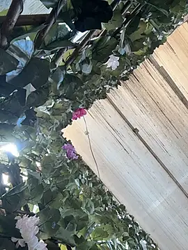 azukakurokami webcam