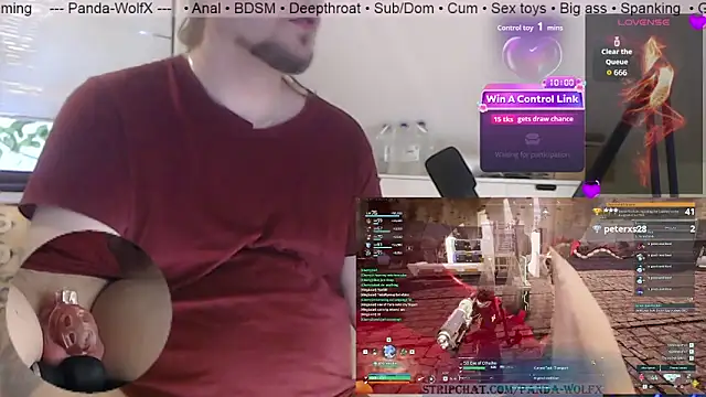 Panda-WolfX webcam