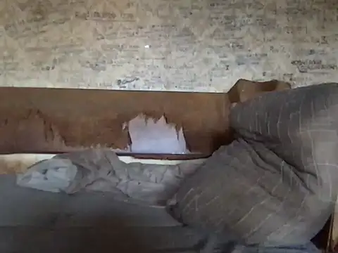 -TrafoX3- webcam