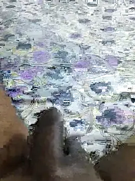desi_pb02 webcam