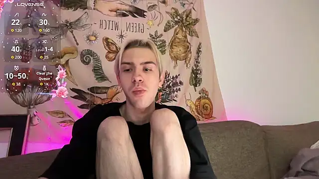 skibatryanka webcam