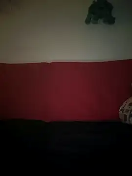 Doudoulecoquin webcam