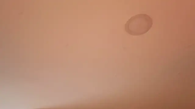 Melina_Ferrer1 webcam