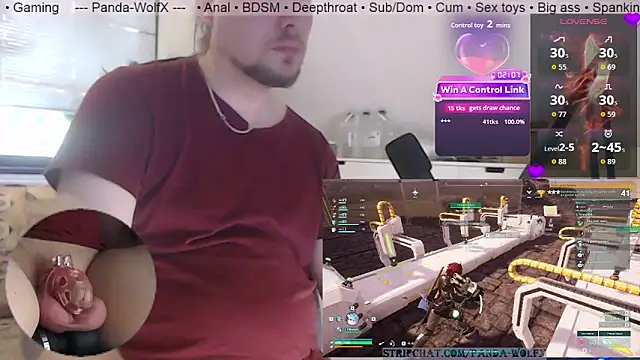 Panda-WolfX webcam