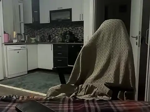 ALPHANDRE webcam