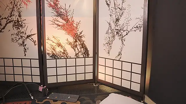 Greiz_SubKimura webcam