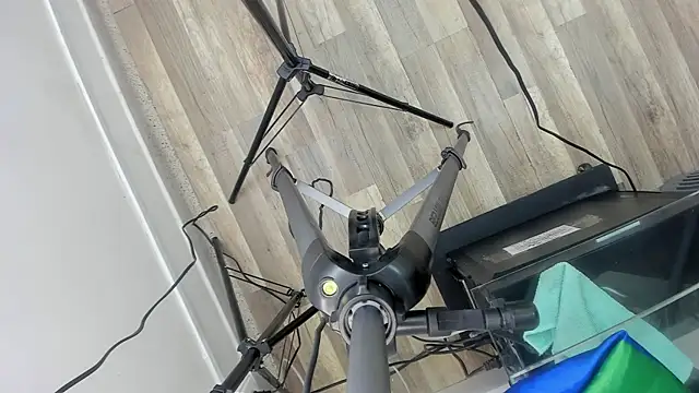thom_ames webcam