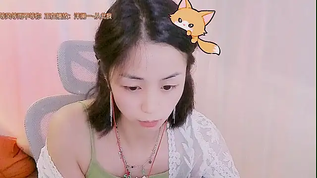 Puresnow webcam