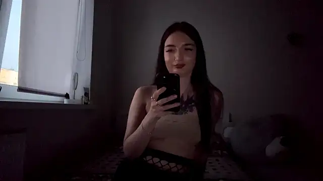 holoris webcam