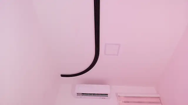 Malaia_thompson_ webcam