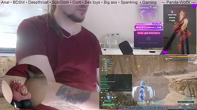 Panda-WolfX webcam