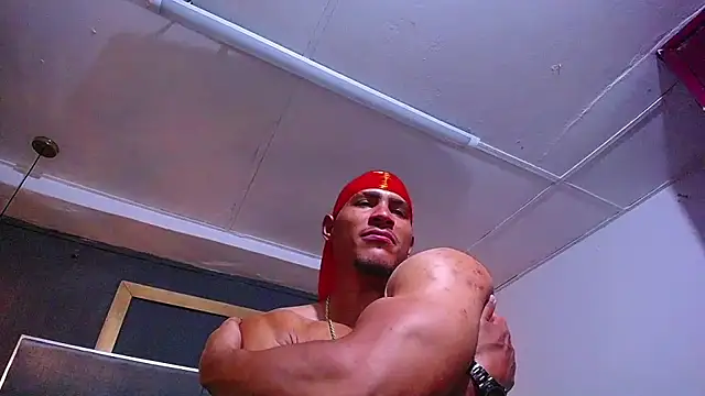teddyfit19cm webcam