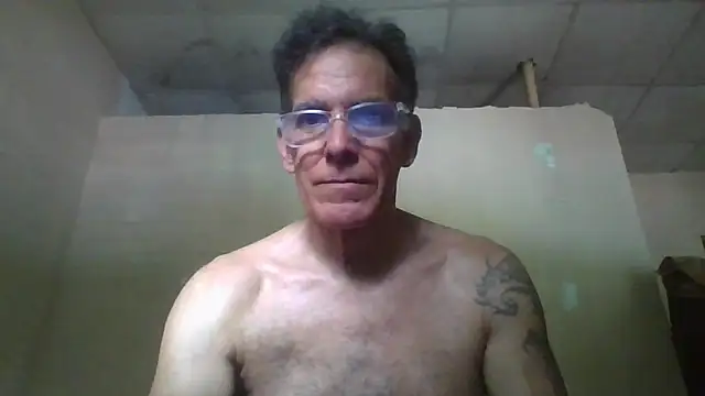 CaptainFox webcam