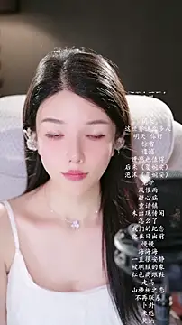 vv-77 webcam