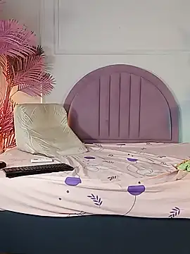 Nalapalmer webcam