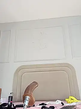 Liastarkk webcam