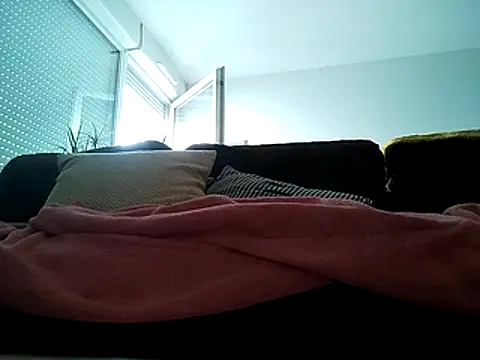 Juju-juju2 webcam