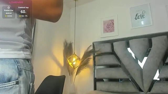 lianfox_ webcam