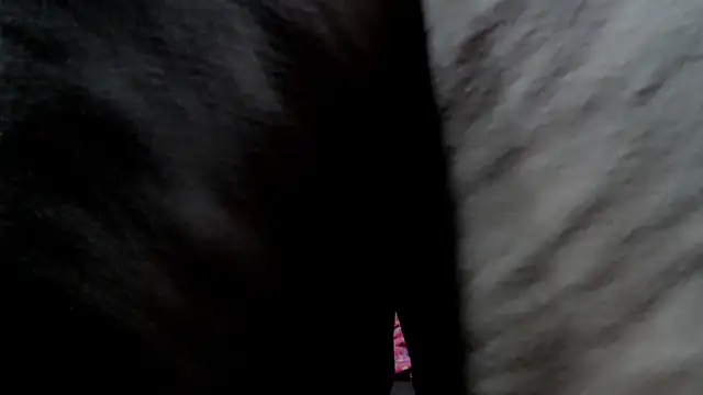 sarah_aguilar webcam