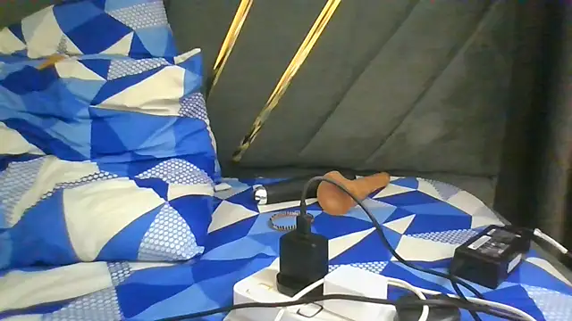 cahnny webcam