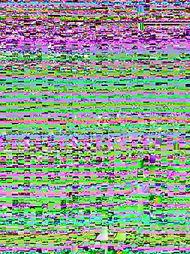 EveRave_Pink webcam