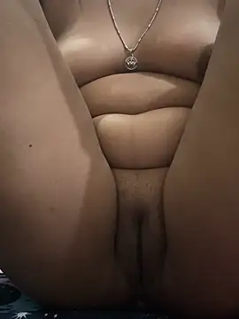 Sejalpari webcam