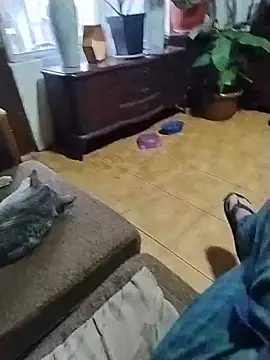 Yayo66 webcam