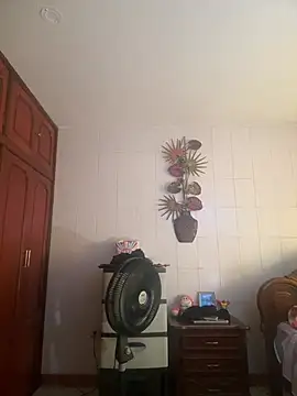 Valentinacouple webcam