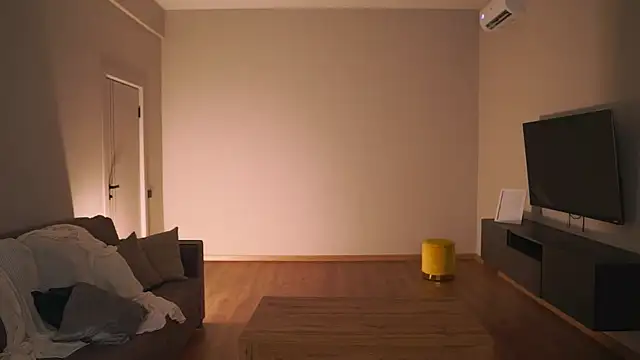 AdaBell webcam