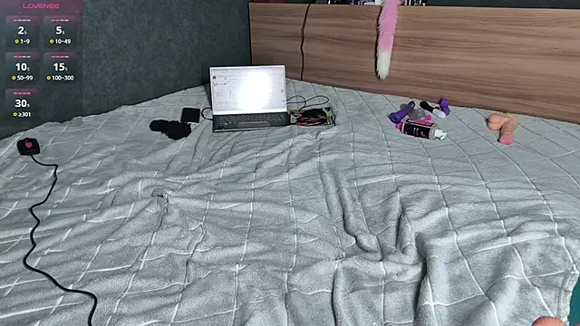 Aurora_Cage webcam