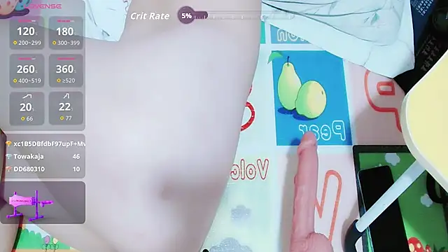 NH2058 webcam