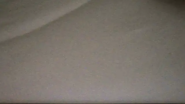 madzbailey webcam