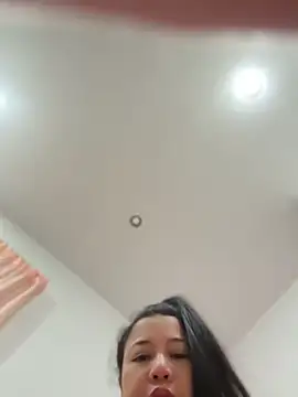LINDA_HD webcam