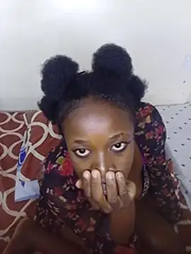 Streetliones webcam