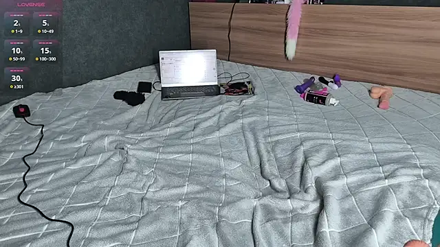 Aurora_Cage webcam
