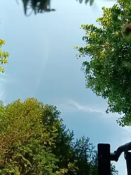 bigcock_marusz webcam