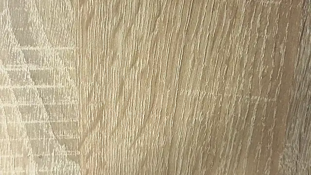 NoFace_Model webcam