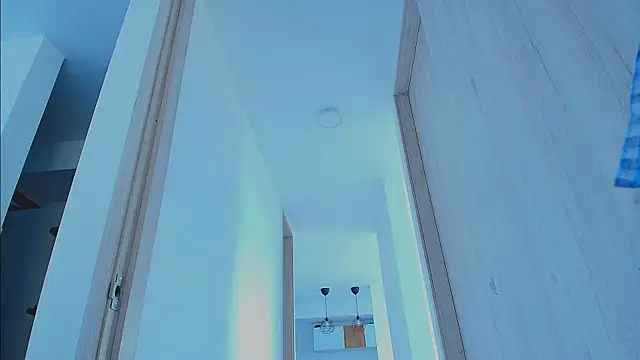 thomas_gun