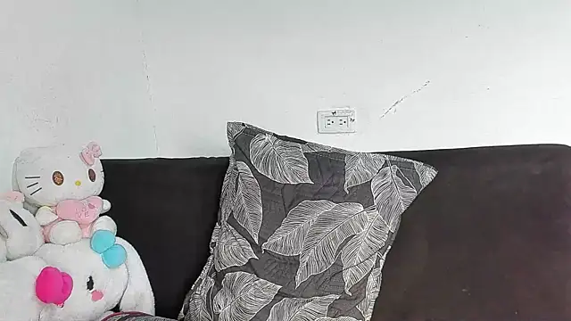 Eirlysx webcam