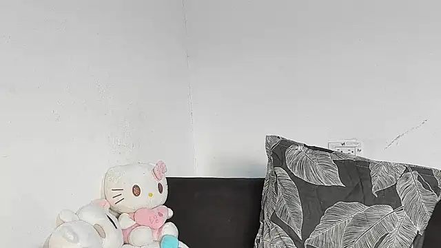 Eirlysx webcam
