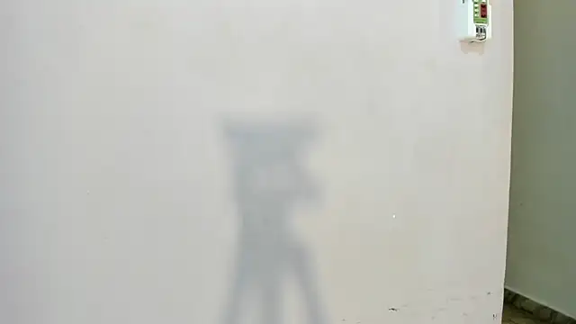 alya_fox_ webcam