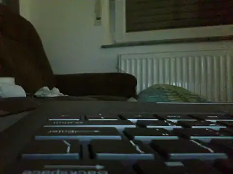 FROL83 webcam