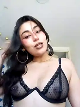 hancock-boa webcam