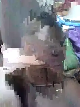 SpiceDiana1 webcam