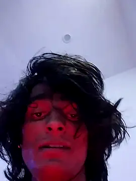 14xprince webcam