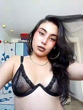 hancock-boa webcam