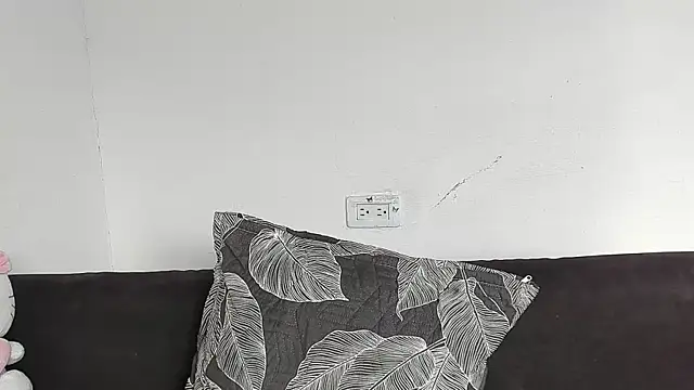 Eirlysx webcam