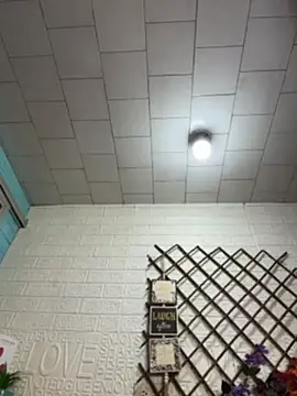 SALOME_KORLAND webcam
