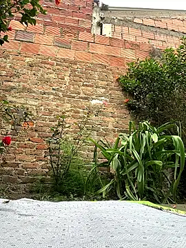 Emily_Gomezz live webcam