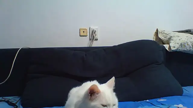 KaelNox webcam
